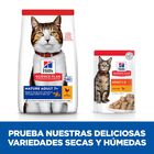 Hill's Science Plan Mature Adult 7+ Pollo pienso para gatos, , large image number null